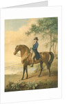 Warren Hastings on his Arabian Horse, 1796 by George Townley Stubbs