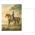 Warren Hastings on his Arabian Horse, 1796 by George Townley Stubbs