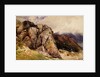 Mountain Rocks by David Hall McKewan
