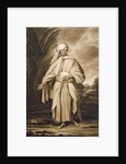 Omai by Joshua Reynolds (after)