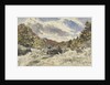 A Mountain Torrent by William James Muller