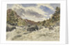 A Mountain Torrent by William James Muller