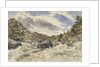 A Mountain Torrent by William James Muller