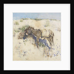 Tangier, 1887 by Joseph Crawhall