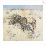 Tangier, 1887 by Joseph Crawhall