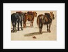 Three Cart-Horses in traces, back view by Peter de Wint