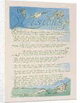 Visions by William Blake