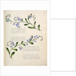 Poetry by English School