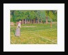 Tennis at Hertingfordbury, 1910 by Spencer Frederick Gore