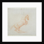 A Prancing Horse, facing right, 1790 by George Stubbs