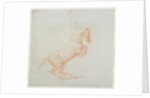 A Prancing Horse, facing right, 1790 by George Stubbs
