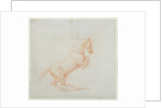 A Prancing Horse, facing right, 1790 by George Stubbs