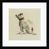 A Terrier, sitting facing left by Peter de Wint