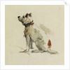 A Terrier, sitting facing left by Peter de Wint