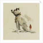 A Terrier, sitting facing left by Peter de Wint