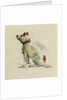 A Terrier, sitting facing left by Peter de Wint