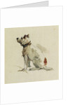 A Terrier, sitting facing left by Peter de Wint