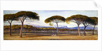 A View of the Pine Woods Above Cannes, 1869 by Edward Lear