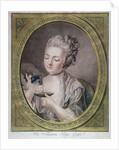 The Woman Taking Coffee, c.1774 by Leonard Marin