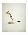 Jerboa No. 4 by James Bruce
