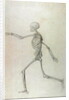 Human Skeleton, Lateral View seen from the Left, Running, 1795-1806 by George Stubbs