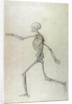 Human Skeleton, Lateral View seen from the Left, Running, 1795-1806 by George Stubbs