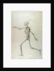 Human Skeleton, Lateral View seen from the Left, Running, 1795-1806 by George Stubbs