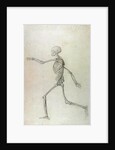 Human Skeleton, Lateral View seen from the Left, Running, 1795-1806 by George Stubbs