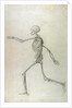 Human Skeleton, Lateral View seen from the Left, Running, 1795-1806 by George Stubbs