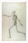 Human Skeleton, Lateral View seen from the Left, Running, 1795-1806 by George Stubbs