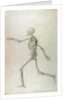 Human Skeleton, Lateral View seen from the Left, Running, 1795-1806 by George Stubbs