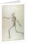 Human Skeleton, Lateral View seen from the Left, Running, 1795-1806 by George Stubbs