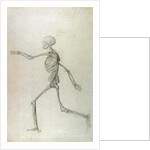 Human Skeleton, Lateral View seen from the Left, Running, 1795-1806 by George Stubbs