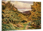 A Road near Bettws-y-Coed, 1851 by George Price Boyce