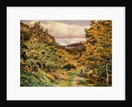 A Road near Bettws-y-Coed, 1851 by George Price Boyce