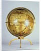 Terrestrial globe by Martin Waldsemuller