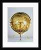 Terrestrial globe by Martin Waldsemuller