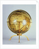 Terrestrial globe by Martin Waldsemuller