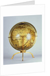 Terrestrial globe by Martin Waldsemuller