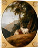 Kashmir Goats, c.1780-1820 by William Daniell