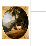 Kashmir Goats, c.1780-1820 by William Daniell