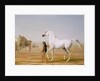 The Wellesley Grey Arabian led through the Desert, c.1810 by Jacques-Laurent Agasse