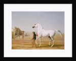 The Wellesley Grey Arabian led through the Desert, c.1810 by Jacques-Laurent Agasse