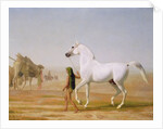 The Wellesley Grey Arabian led through the Desert, c.1810 by Jacques-Laurent Agasse