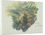 A Study of Ferns, Citivella, 1842 by Edward Lear