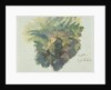 A Study of Ferns, Citivella, 1842 by Edward Lear