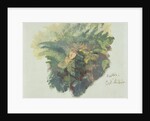 A Study of Ferns, Citivella, 1842 by Edward Lear