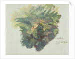 A Study of Ferns, Citivella, 1842 by Edward Lear