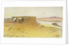 Amada, 6:50am, 12 February 1867 by Edward Lear