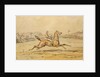 Point to Point Racing by Hablot Knight Browne